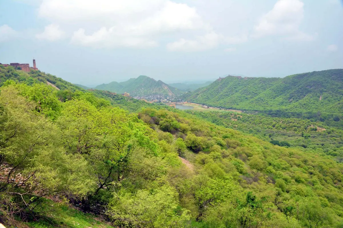 A scenic view of the greenery of the Aravalli hills | File photo: ANI