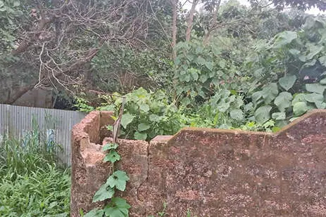 നാവായിക്കുളത്തെ കശുവണ്ടിവ്യവസായം നിലച്ചു