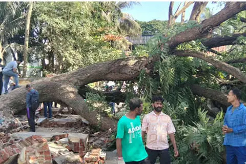 കൊച്ചി ഹാർബറിൽ അഞ്ച് കടകൾ തകർന്നു