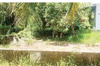പ്രവൃത്തി ഉദ്ഘാടനം കഴിഞ്ഞ് 10 മാസം; അങ്കണവാടിക്ക് തറകെട്ടാൻ കുഴിപോലുമെടുത്തില്ല