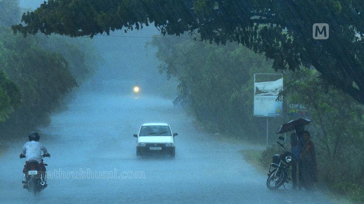 Kerala weather update: Rising heat wave to ease as 3-day spell of rain forecast from Thursday | Mathrubhumi English