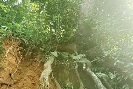 പാത പണിയാൻ എന്തിനീ അമാന്തം