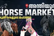 ടിപ്പുവിന്റെ പടക്കുതിരകൾ മുതൽ വീരപ്പന്റെ രഹസ്യസന്ദർശനങ്ങൾ വരെ: അന്തിയൂരിന്റെ ചരിത്രവഴികൾ