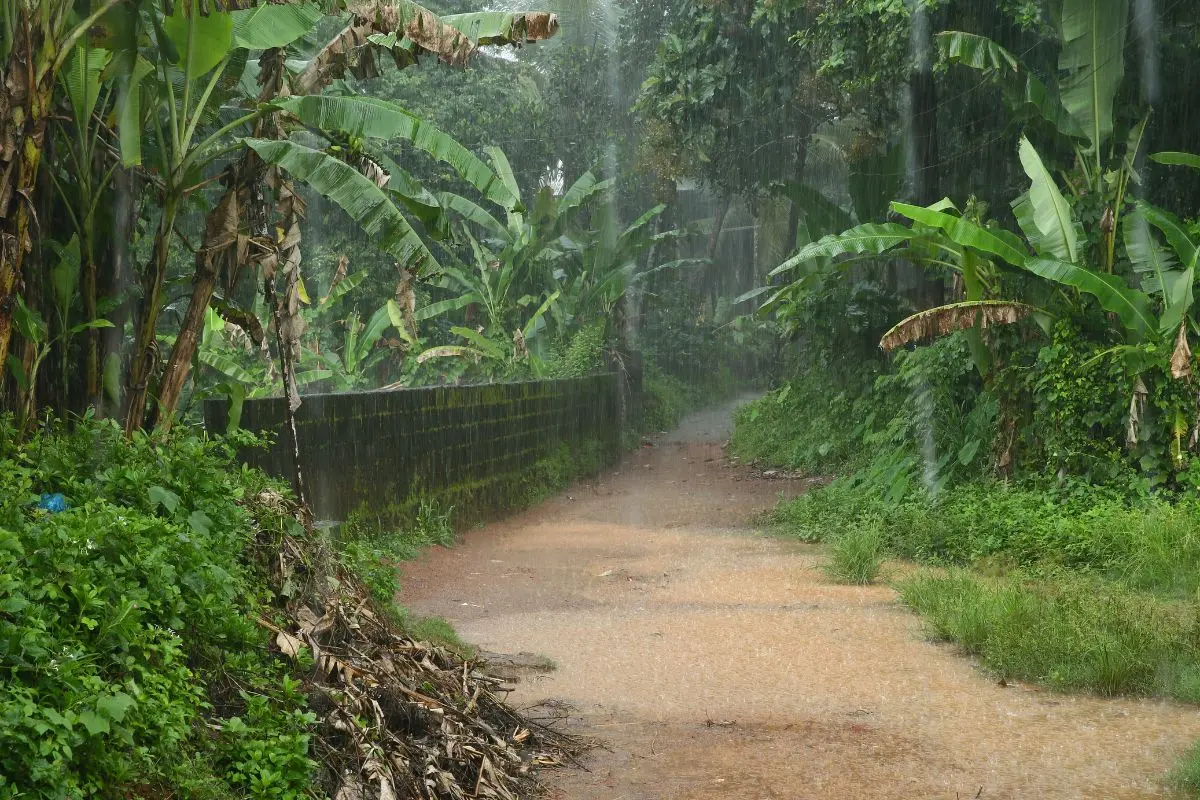 Representational image | Photo: AI generated