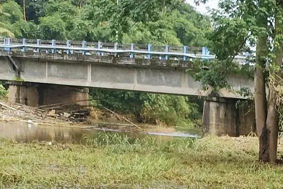 നീരൊഴുക്ക് തടഞ്ഞ് മരച്ചില്ല;മണൽപ്പുറ്റ് വിസ്തൃതി കുറച്ചു