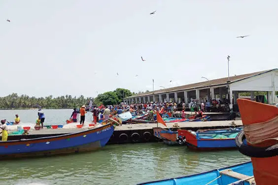 മടക്കര മീൻപിടിത്ത തുറമുഖം വേണ്ടത് ഇടപെടൽ