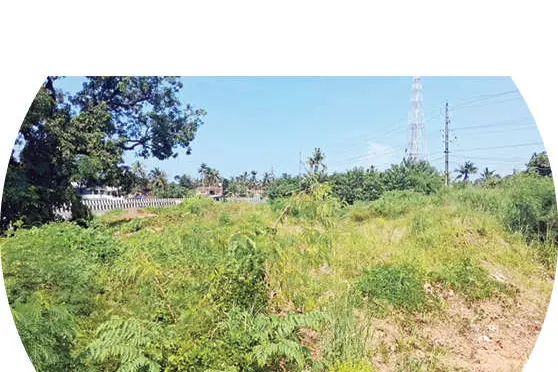 ദേശീയപാതയിലെ പാർക്കിങ്; ഇഷ്ടംപോലെ സ്ഥലമുണ്ട്, നീലേശ്വരത്ത്