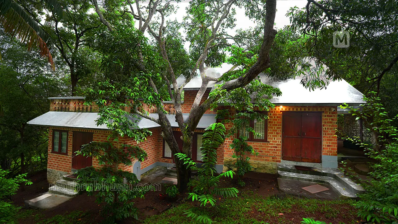 ടാമറിന്‍ഡ് | ഫോട്ടോ: ആല്‍ബിന്‍ പടിഞ്ഞാറേത്തറ