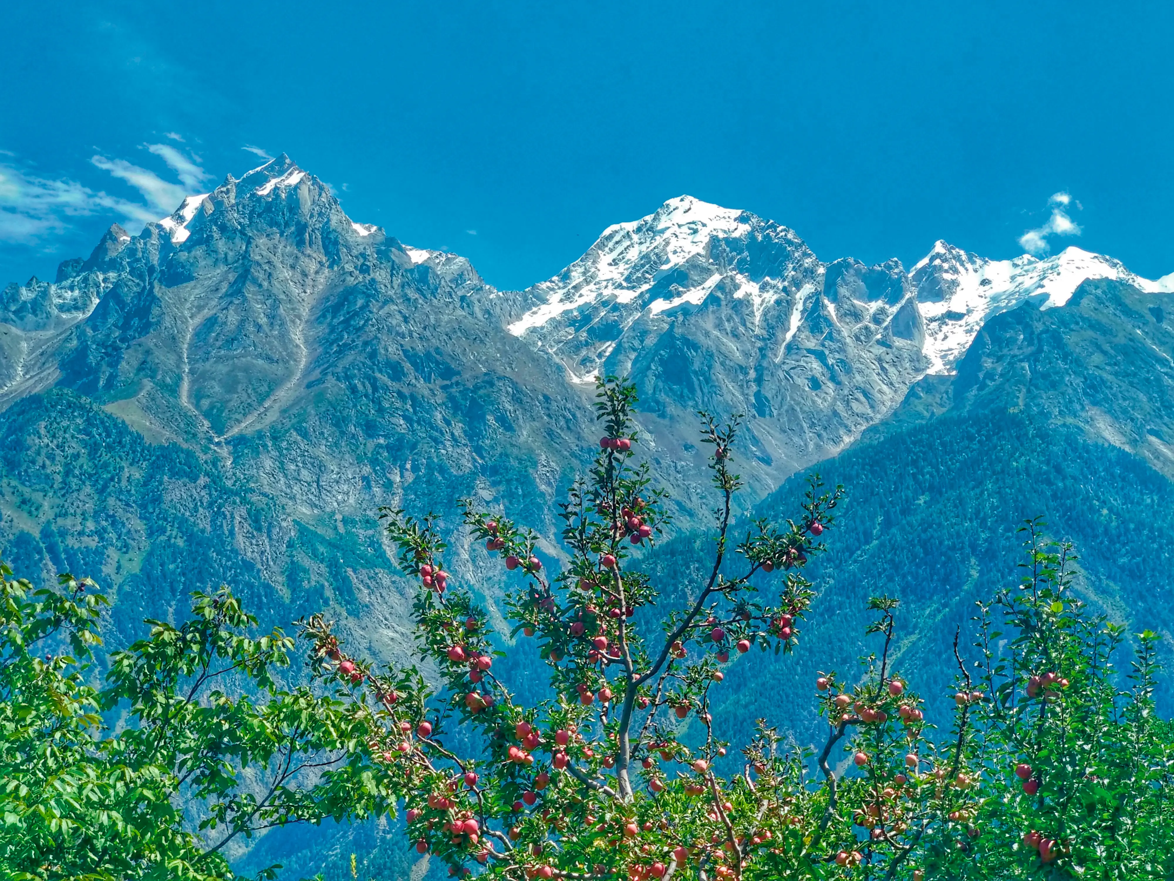 Peo, a Himalayan valley village in Himachal Pradesh. Kinnaur Kailash mountain behind. Photo: MBI