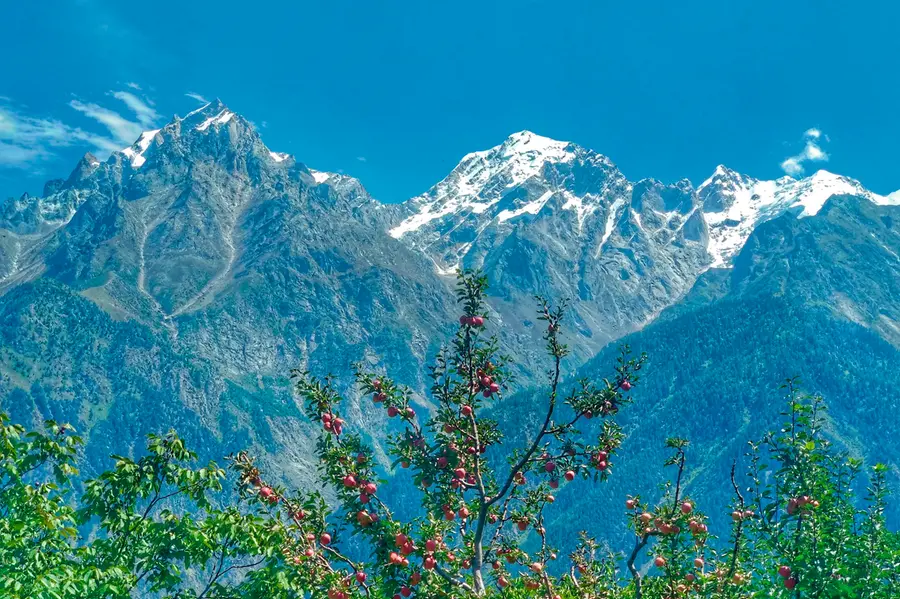 Himalaya
