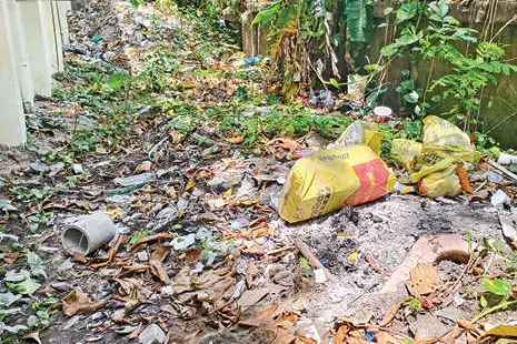 മാവേലിക്കര മിനി സിവിൽ സ്റ്റേഷൻ വളപ്പിൽ പാമ്പുശല്യം