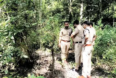 വനത്തിനുള്ളിൽ അഴുകിയനിലയിൽ സ്ത്രീയുടെ മൃതദേഹം കണ്ടെത്തി