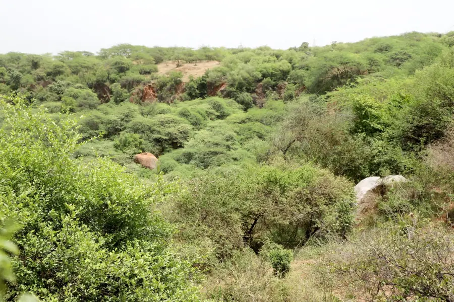 Asola-Bhatti