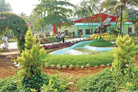തേനീച്ച വളർത്താം... ലാഭം നേടാം...