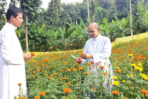 നാട്ടുകാരുടെ ഒത്തൊരുമയിൽ ഇഞ്ചിയാനിയിൽ വീണ്ടും ബന്തിപ്പൂ വസന്തം