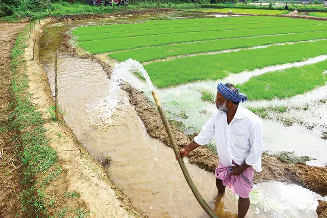 ഒറ്റത്തവണയേ കൃഷിയുള്ളൂ, ഒഴിയുന്നില്ല മനസ്സിലെ ആധി...