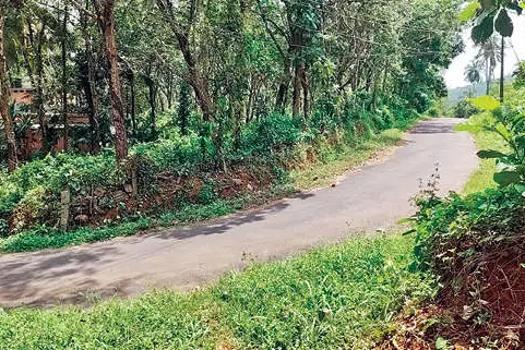 എം.ഇ.എസ്.-അലിഗഡ് ലിങ്ക് റോഡ് ഗതാഗതയോഗ്യമാക്കണം