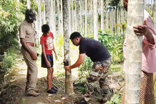 വള്ളുവാടിയിൽ വീണ്ടും പുലിയെത്തി ഒരാഴ്ചയായി ജനം ഭീതിയിൽ