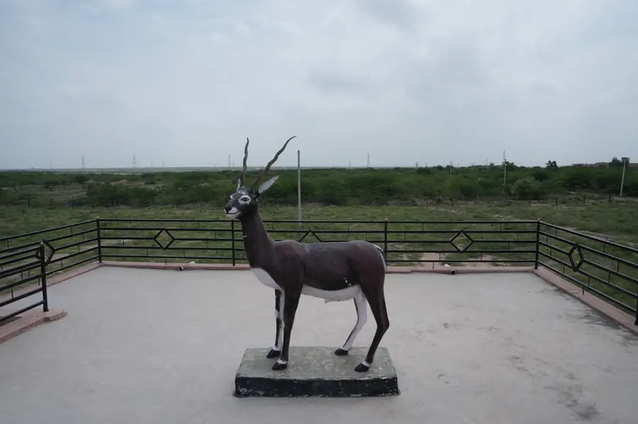 Bishnoi Village Khejarli