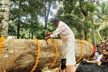 മൂക്കന്നൂർ പള്ളിയോട നിർമാണത്തിന് ഉളികുത്തി