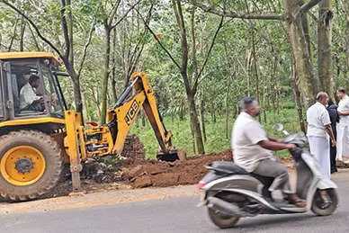 കൈനിക്കര കാവിന് സമീപം റോഡരികിലെ മാലിന്യം നീക്കി; സി.സി.ടി.വി. ക്യാമറ സ്ഥാപിക്കും