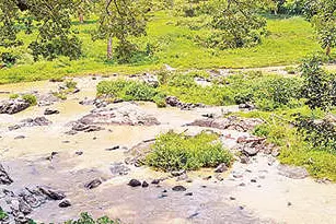 മഴ കുറഞ്ഞു, ഗൂഡല്ലൂരിൽ കനത്ത വരൾച്ച