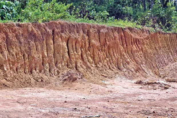 ആദിക്കാട്ടുകുളങ്ങരയിലെ മണ്ണെടുപ്പ്; ജിയോളജി ഉദ്യോഗസ്ഥർ ബുധനാഴ്ചയെത്തും