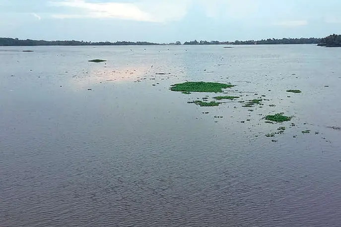 കണ്ടില്ലെന്നു നടിക്കരുത്