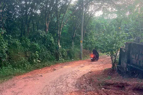 കരിക്കത്തിൽ ജങ്ഷൻ-ചേന്നറക്കൊല്ല പാത തകർന്നു