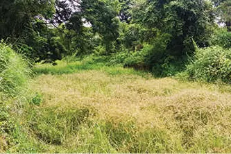 കൊടുവായൂരിലേക്ക് വെള്ളമെത്തുമോയെന്ന് ആശങ്ക