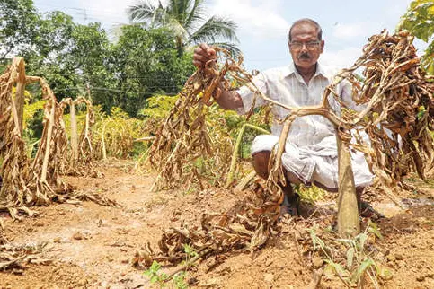 പുറത്ത് കൊടുംചൂട്, നെഞ്ചിൽ തീ