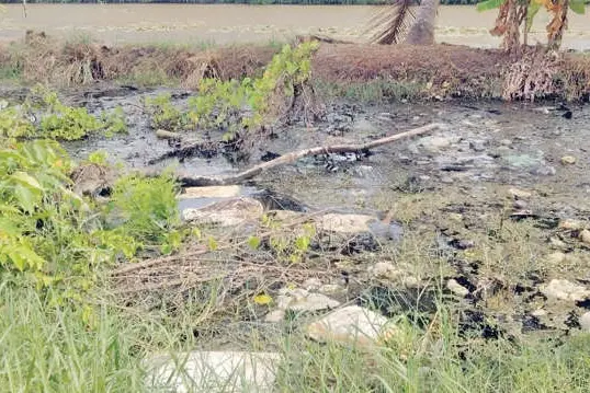 പറഞ്ഞു മടുത്തു... പള്ളിത്തോടു തോട് പഴയതുപോലെയാക്കണം