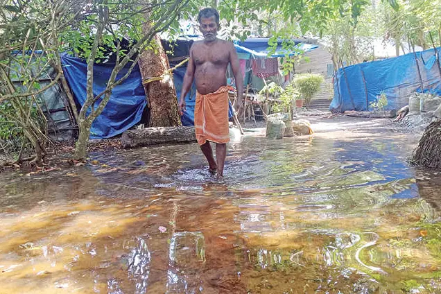 പണ്ടാരതോട്ടിൽ ഒഴുക്കുനിലച്ചു; കനത്തവെയിലിലും വീടുകളിൽ വെള്ളക്കെട്ട്