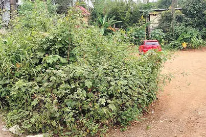 'ഖാദിപ്പറമ്പിലെ കെട്ടിട നിർമാണം: ധാരണാപത്രം കൈമാറിയിട്ടും എങ്ങുമെത്തിയില്ല