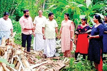കൂരാച്ചുണ്ട് ഓട്ടപ്പാലത്ത് കാട്ടാനക്കൂട്ടമിറങ്ങി വ്യാപക കൃഷിനാശം
