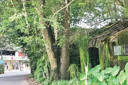 റോഡിലേക്ക് വീഴാറായ റെയിൽവേ കെട്ടിടങ്ങൾ പൊളിച്ചുമാറ്റണം