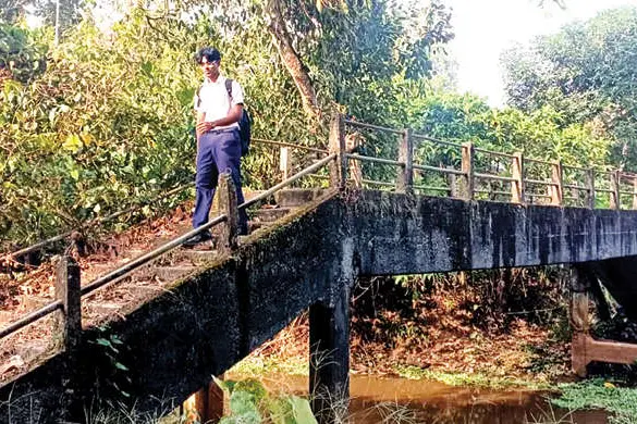 5.13 കോടി ഫയലിൽ: കോതേകാട്ട് പാലം പടിക്കെട്ടിൽത്തന്നെ
