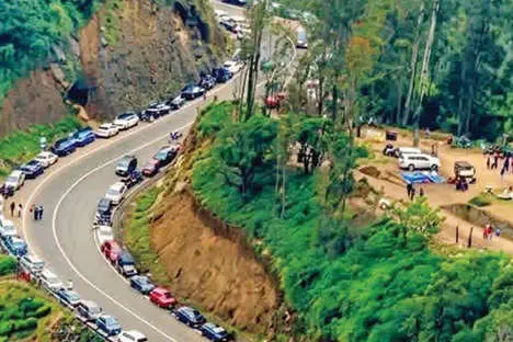 നീലക്കുറിഞ്ഞികാണാൻ പെടാപ്പാട്