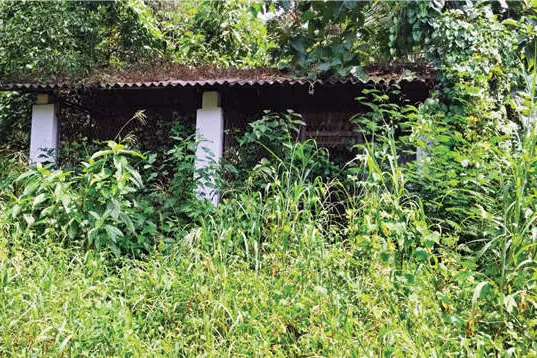 കാടിനുള്ളിലാണ് മലപ്പട്ടത്തെ എസ്.സി. കമ്യൂണിറ്റി സെന്റർ കെട്ടിടം