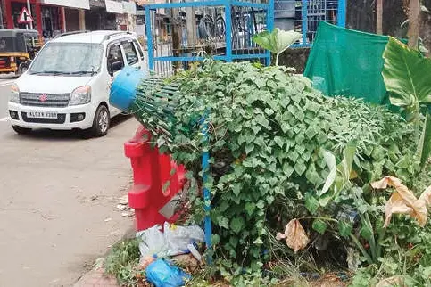 പഞ്ചായത്ത് സ്ഥാപിച്ച ബോട്ടിൽ ബൂത്ത് കാടുകയറി; പരിസരം മാലിന്യക്കൂമ്പാരം