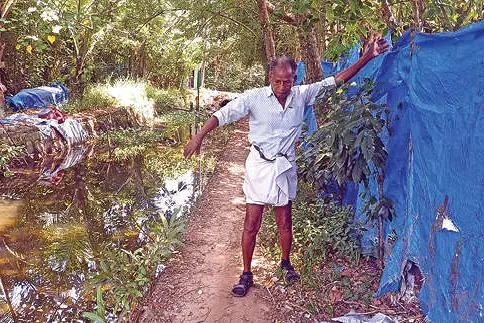 റോഡിൽ കാടുവളർന്നു; വീട്ടിലെത്താൻ തോട്ടിൽവീഴാതെ നോക്കണം