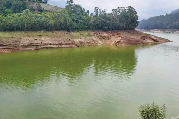 ഇങ്ങനെപോയാൽ മൂന്നാർ വലയും