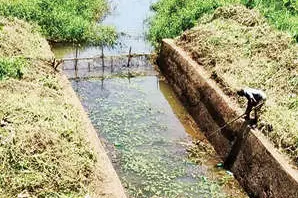 വരൾച്ച നേരിടാൻ കാഞ്ഞൂരിൽ ജനകീയ പങ്കാളിത്തത്തോടെ ശുചീകരണം