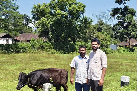 ഓൺലൈനിലാണേ പശുച്ചന്ത