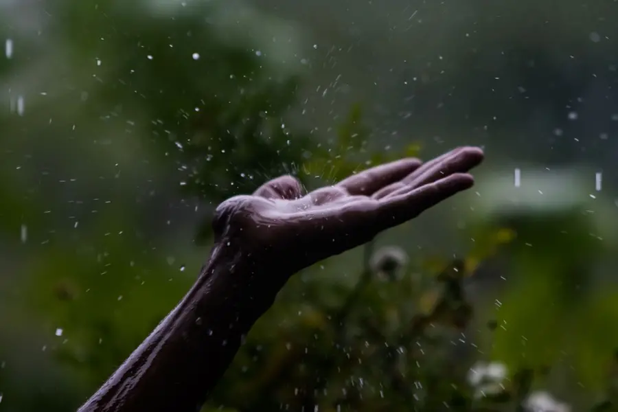 കാലവർഷം കനിഞ്ഞില്ല: സെപ്റ്റംബറിൽ സംസ്ഥാനത്ത് മഴയിൽ 93 ശതമാനത്തിന്റെ കുറവ്