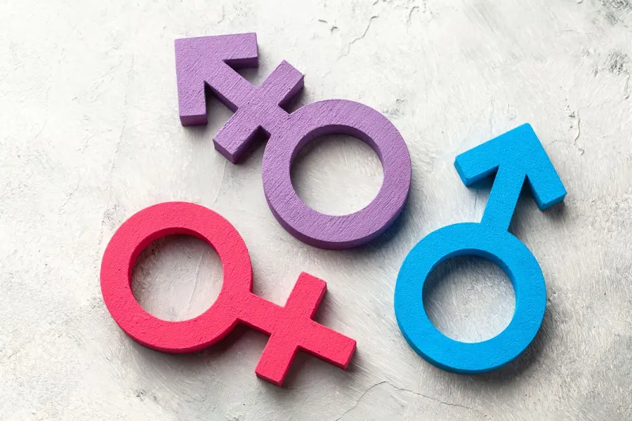 ‘Everything shut down’: India’s transgender law leaves patients in limbo over hormone therapy