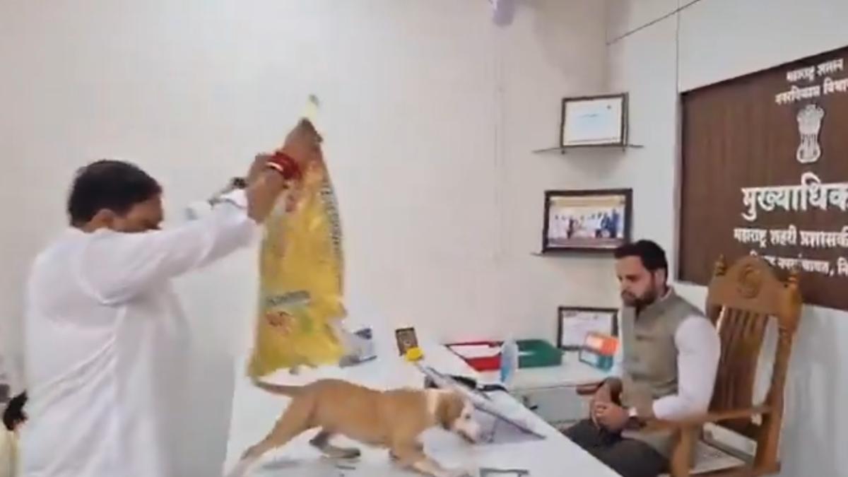 Bizarre protest: Shiv Sena (UBT) leader dumps puppies on desk; booked | VIDEO