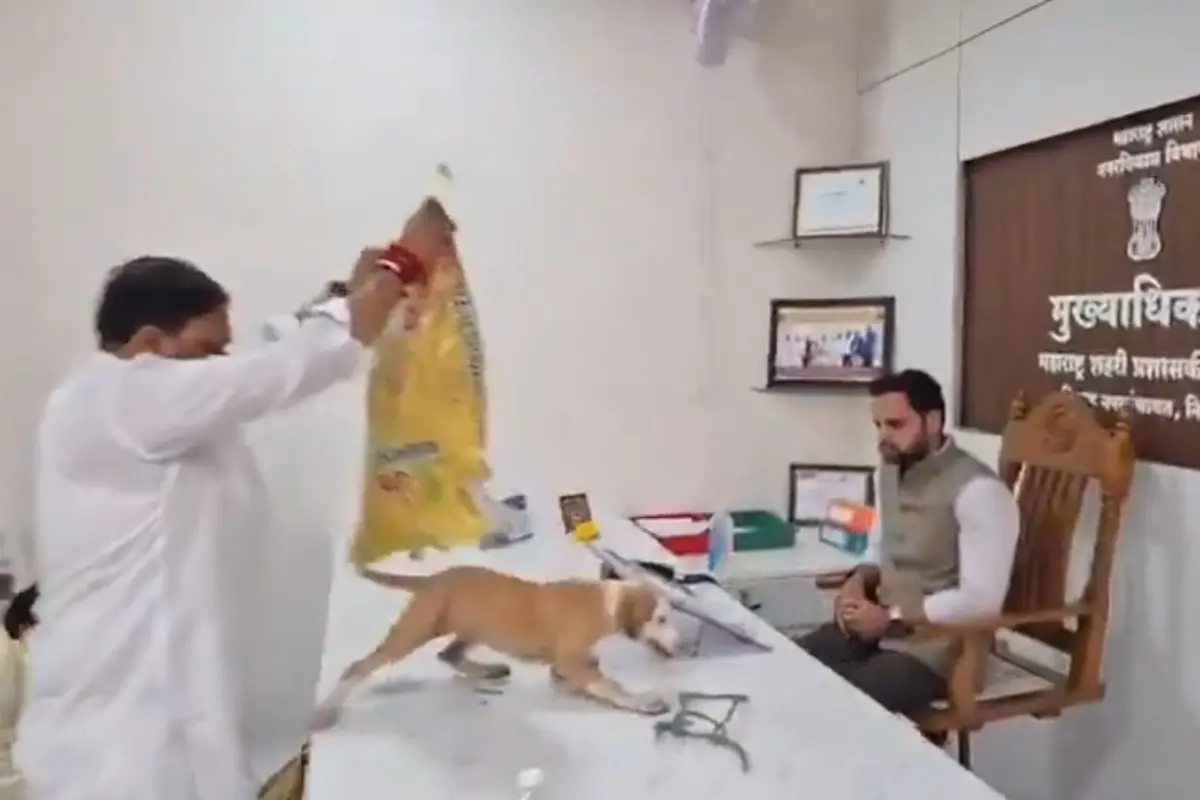 Screen grab from the video