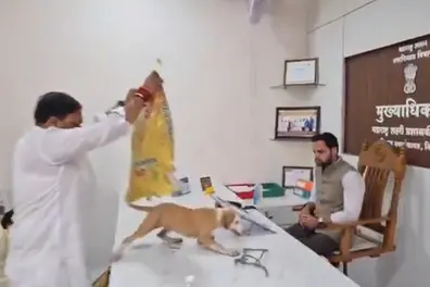 Bizarre protest: Shiv Sena (UBT) leader dumps puppies on desk; booked | VIDEO