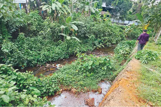 വെള്ളമില്ല; കർഷകന് കണ്ണീർ